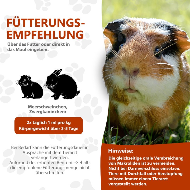 Alfavet RodiCare Dia, Supplementary Feed for Dwarf Rabbits and Guinea