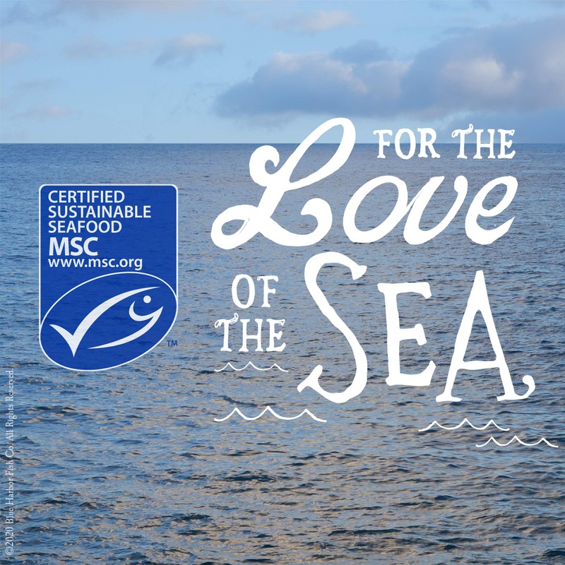 Blue Harbor Fish Co. Wild Pink Salmon in Water with