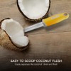 BAMI-LEE House Coconut Meat Remover Knife,Coconut Tool,Coconut Meat Removal Tool