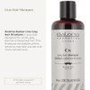 Salerm Homme Shampoo para Matizar Cabellos Blancos y Canas para