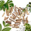 20 Pcs Wood Natural Driftwood Pieces Branch Slices Beach Decor
