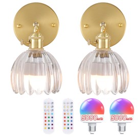 Shenmoyl Vintage Battery Operated Wall Sconce with Clear Tulip Glass Lampshade 5000 mAh Rechargeable Battery Powered Wall Light with Remote Control for Bedside Bedroom Doorway, Set of 2