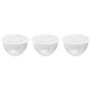 3 Plastic Lidded Pudding Basins 1.3L