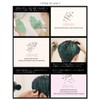 Beauty Pure One Day Hair Color Natural Black 2.1 oz