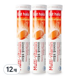 Guthallo Guthalo Multi Orange Flavored Effervescent Vitamin 20 Tablets 12 Pieces 20 Tablets 12 Pieces / 구트할로 멀티 오렌지맛 발포비타민 20정 12개 20정  12개