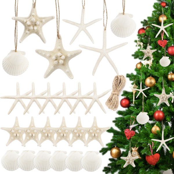 TaoQ C 18 PCS Hanging Starfish, Mixed Starfish 1" to