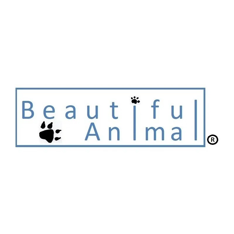 Shampoo Para Perro Beautiful Animal 10 Litros Aroma Fresa Fresa