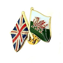 Wales Welsh Cymru United Kingdom UK Union Jack Friendship Metal Enamel Country Flags Pin Badge