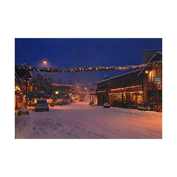 Poulsbo, Washington in the snow #769-Goodall Christmas Cards
