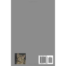  CAT RABIES MANAGING AND OVERCOMING