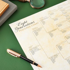 Okuna Outpost 15 Pack Family Tree Charts to Fill In - Off-White Poster Paper - 8 Generation Genealogy Charts With 255 Name Spaces - Ancestry & Lineage Organizer (17 x 22 In)