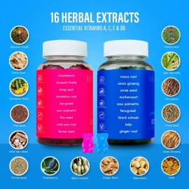 BEARVANA Gummies Combo Pack - Fitness Aid - Women’s Support Supplement - Berry Flavored - Herbs & Multivitamins