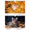 Katzenzauber DIN A4 Calendar for 2022 Cats and Cats Seelenzauber