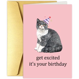 Obbyidk Funny Cat Birthday Card for Friend Family, Cute Birthday Card for Cat Lover, Get Excited It's Your Birthday
