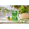 Ahmad Tea - Mint Mystique Flavoured Green Tea 20 Bags