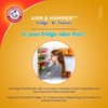 Arm & Hammer Fridge-N- Freezer No Scent 14 oz. Cleaning