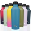 Insulated Water Bottle with Straw,25 OZ Double Wall Vacuum Stainless