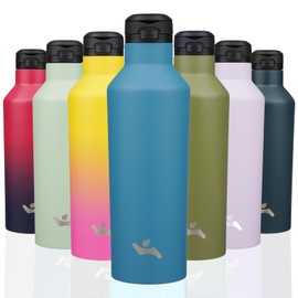 Insulated Water Bottle with Straw,25 OZ Double Wall Vacuum Stainless Steel Water Flask with 2 Lids,Ocean Blue