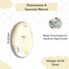 Dendritic Agate Worry Stones – Crystal Thumb Worry Stone for