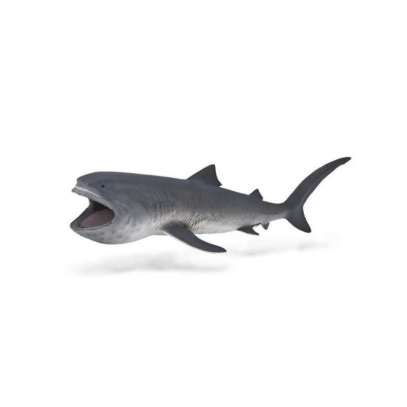 Collecta Broad-nosed Shark Marine Sea Animal Figure / 컬렉타 넓은주둥이상어