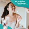 World Amenities - Bulk Disposable Dental Kit Bundle with Toothbrush
