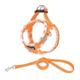 DORAMIO Step-in Dog Harness and Leash Set, Soft Mesh No-Chock Reflective Breathable Easy Walk Lightweight Vest Harnesses with Safety Buckle for Small Dogs, Cats, Puppies (Orange, XXS)