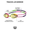 Arena Tracks Jr Youth Swim Goggles