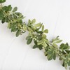 Artificial Aglaia Odorata Perume Plant Garlands Set of 2 by