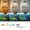 Austin Coast 4 PCS ST58 (ST19) LED Edison Bulbs, Dimmable
