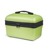 Kinston Large Capacity Travel Cosmetic Bag, Green