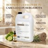 Shampo Anticaída Crecimiento Bergamota Granel