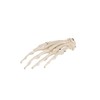 Hand skeletal model that correctly reproduces the position of each