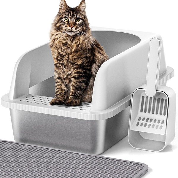 Stainless Steel Cat Litter Box with Lid, 20" L X
