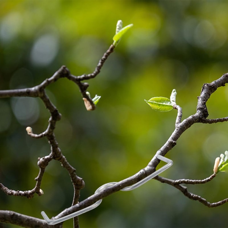 WEBEEDY Pack of 20 Branch Pullers for Fruit Trees M-Shaped