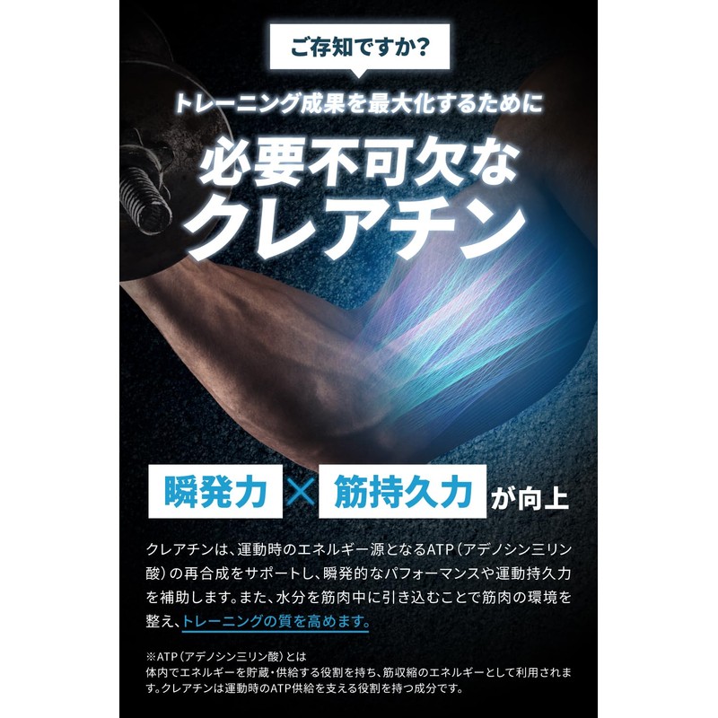 ALLOUT クレアチン モノハイドレート パウダー 500g creatine monohydrate 高純度99.9%