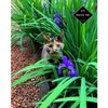 Hazel Shell Mulch Amendment Product - 1.5 Cubic Foot (Hazelnut