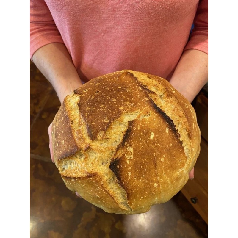Heritage Sourdough Sourdough Starter DEHYDRATED Sour ORGANIC 150+ Year Old
