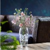 Bloom Aquilegia Vase