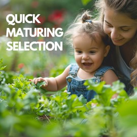 Baby Finger Carrot Seeds (8g) | Premium Quality Non-GMO Seeds | Sweet and Tender Carrots | Ideal for Gardens and Containers | By Elo's Garden