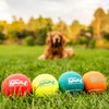 Outward Hound Squeaker Ballz – Squeaky Tennis Balls for Dogs