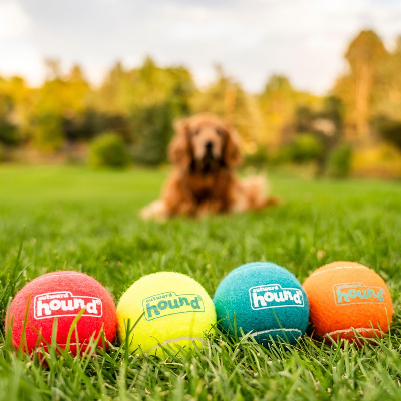 Outward Hound Squeaker Ballz – Squeaky Tennis Balls for Dogs