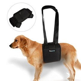 Portable Dog Lifting Support Harness - Dog Aid with Weak Front or Rear Legs Stand up, Walk, Get Into Cars, Climb Stairs to Disable, Injured, Older Pet (Size XL)