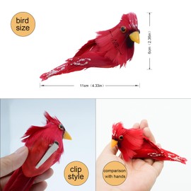HNH 12PCS Red Cardinal Artificial Birds for Crafts with Clip Simulated Feather Birds Crafts Decorative Fake Birds for Christmas Tree Decoration Home Garden Decoration Ornaments Adornment 1705C