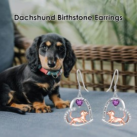 MEIDERBO Dachshund Earrings 925 Sterling Silver Cute Dog February Birthstone Dangle Earring Dachshund Jewelry Gifts for Women Dachshund Lover