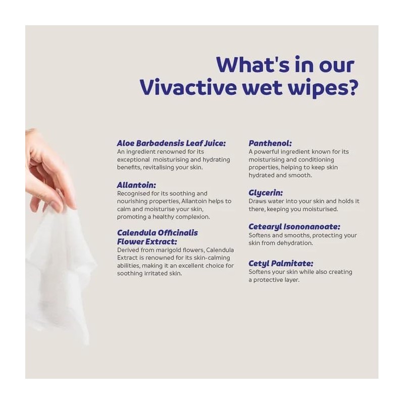 Vivactive Large Wet Wipes 50 Pack (Large)