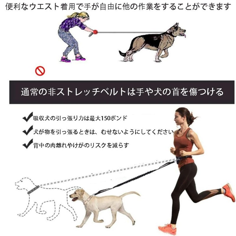 Dog Leash for Medium and Large Dogs Running Leash Hands