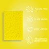 Homethings Magic Pop-up Sponge, 4 Pack, Plastic-Free, Compostable