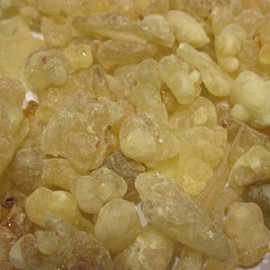 Superior Hojari Frankincense from Oman - Boswellia Sacra - 2 oz