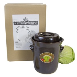 TSM Products Harvest Fiesta Fermentation Pot with Stone Weight, 5-Liter