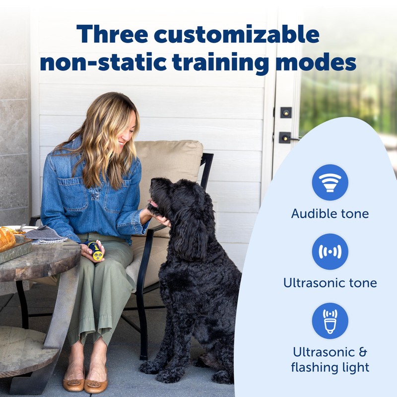 PetSafe Collarless Trainer – Ultrasonic Bark Deterrent – Handheld Anti
